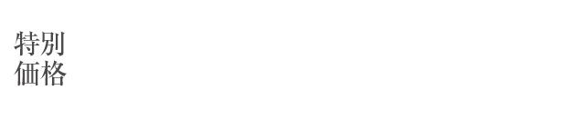 特別価格145,000円税込159,500円